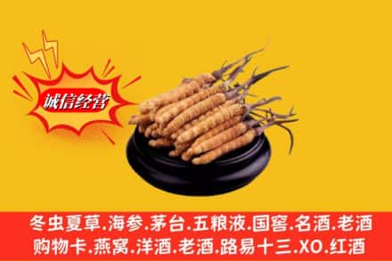 洛阳求购回收虫草多少钱每克